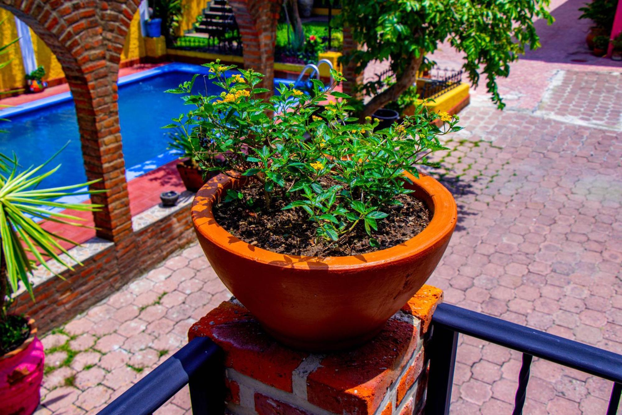 Posada Las Margaritas Tlaquepaque Exterior photo